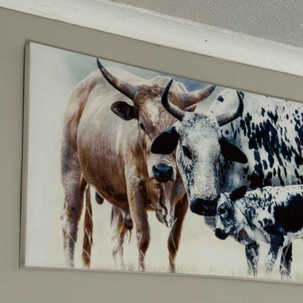 WhatsApp Image 2025 09 22 at 22.52.38